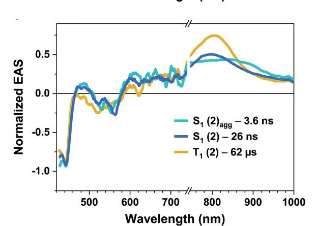 Open access visualization of Line Plot, Evolution-associated Spectra, Global Fit, Raw Data, Three-species Model