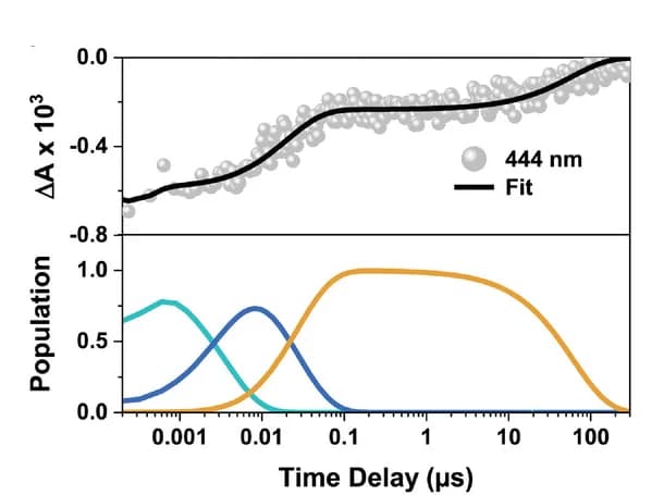 Open access visualization of Line Plot, Scatter Plot, Single Wavelength Kinetics, Relative Fit, Population Dynamics