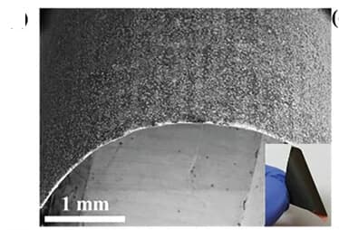 Open access visualization of Microscopy, Photo, SEM, BM P/LIG, Bending