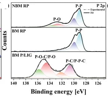 Open access visualization of Line Plot, Density Plot, XPS P 2p, NBM RP Powder, BM RP Powder