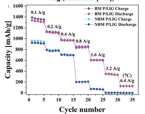 Open access visualization of Line Plot, Line Step, Rate Performance, BM P/LIG, NBM P/LIG