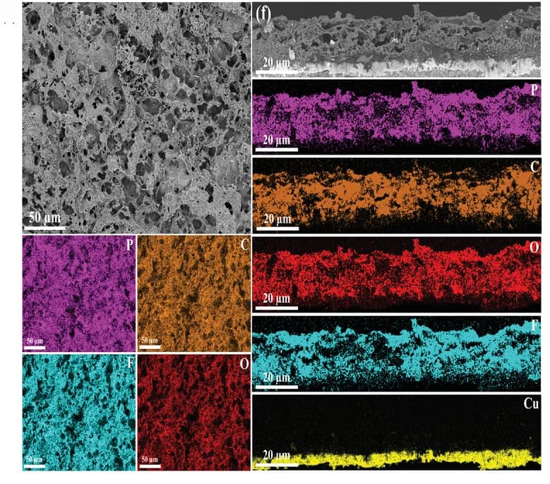 Open access visualization of Microscopy, Post-Mortem SEM, P/LIG Surface, Prolonged Cycling, EDS Analysis