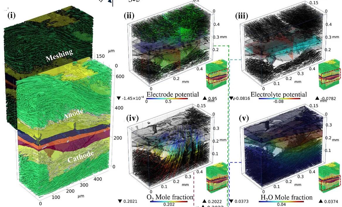 Open access visualization of 3D Plot, Chemical Structure, Electrochemistry, Multiphysics, Visualization Simulation