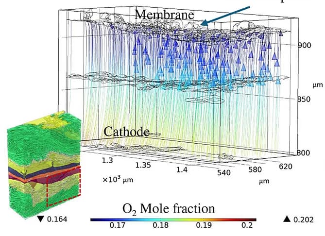 Open access visualization of 3D Plot, Oxygen, Flux Streamline