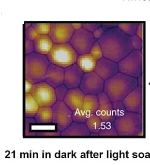 Open access visualization of Microscopy, Fluorescence Images, Perovskite Films, Dark Conditions, Light Soak