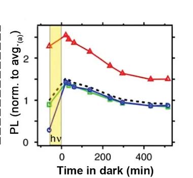 Open access visualization of Line Plot, PL Intensity, Perovskite Films, Illumination Time, Dark Treatment