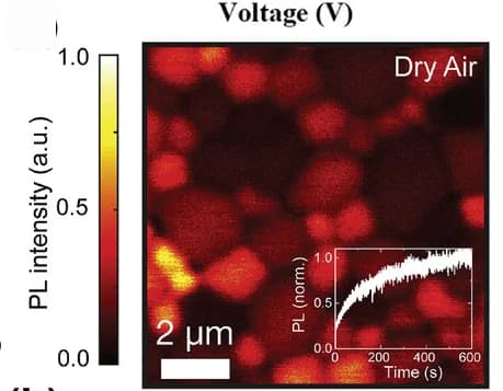 Open access visualization of Microscopy, Line Plot, Confocal Photoluminescence Maps, Dry Air