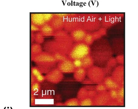 Open access visualization of Microscopy, Light Soaking, Humid Air, Confocal Photoluminescence Maps