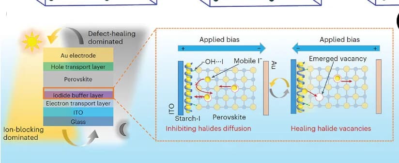 Open access visualization of Illustration, Workflow, Starch-I, Buffer Layer, Perovskite