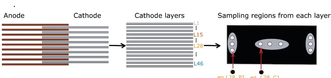 Open access visualization of Workflow, Illustration, Pouch Cell, Disassembly, Labeling Conventions