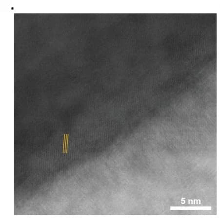 Open access visualization of Microscopy, Bright-Field STEM, Crack, Pristine Sample, L18 Sample