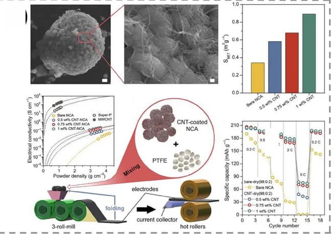 Open access visualization of Microscopy, Bar Plot, Scatter Plot, Line Plot, Workflow