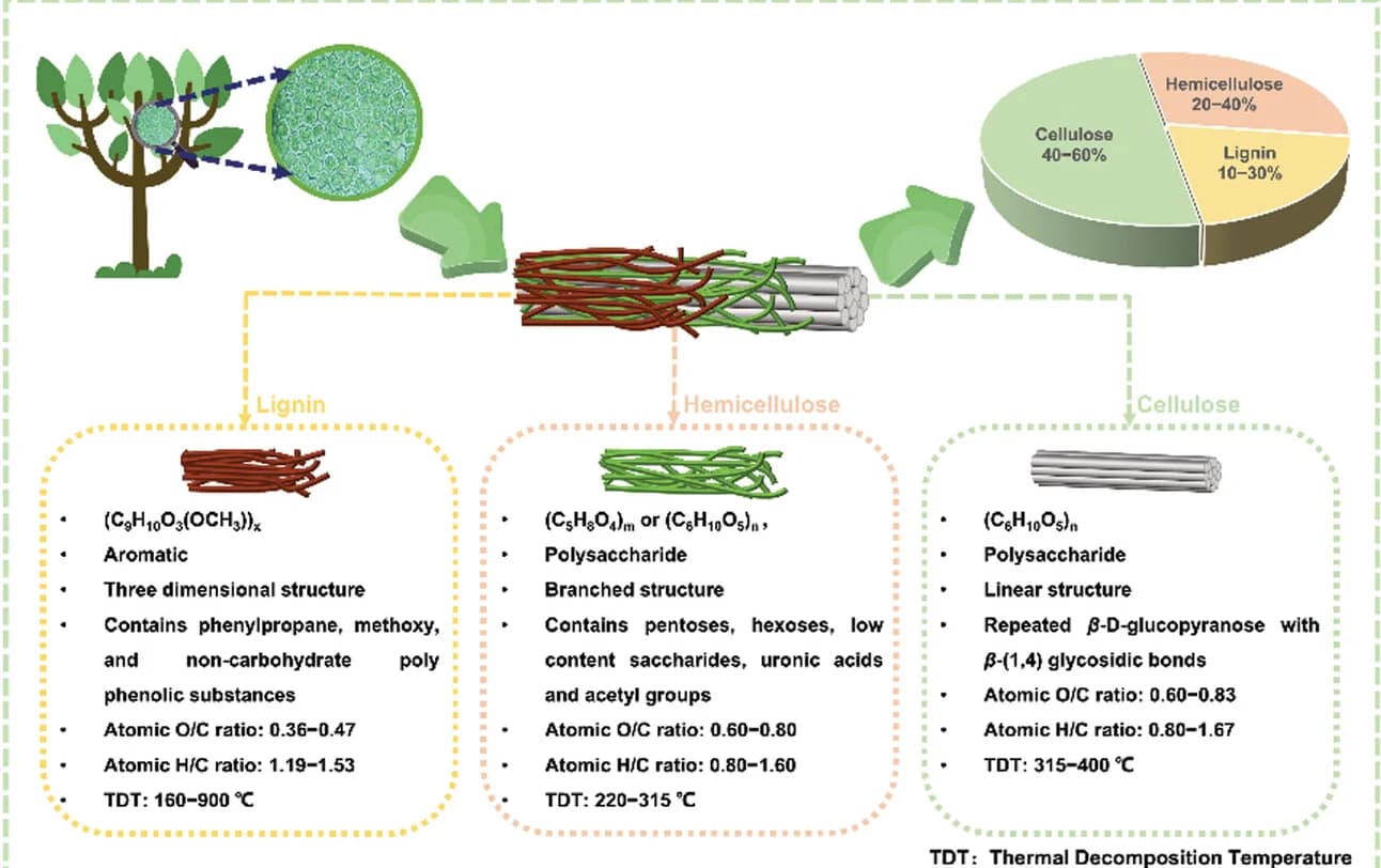 Open access visualization of Pie Chart, Illustration, Composition Diagram, Lignocellulose