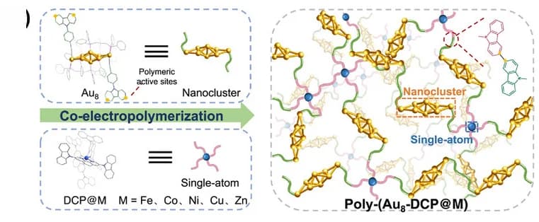 Open access visualization of Workflow, Illustration, Catalysts, Co-eletropolymerization, Schematic