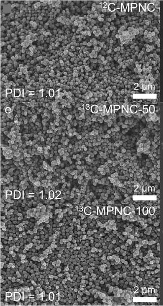 Open access visualization of Microscopy, SEM, STEM, Particle Size Distribution, MPNC Nanospheres