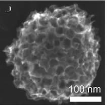 Open access visualization of Microscopy, SEM, STEM, Particle Size Distribution, MPNC Nanospheres