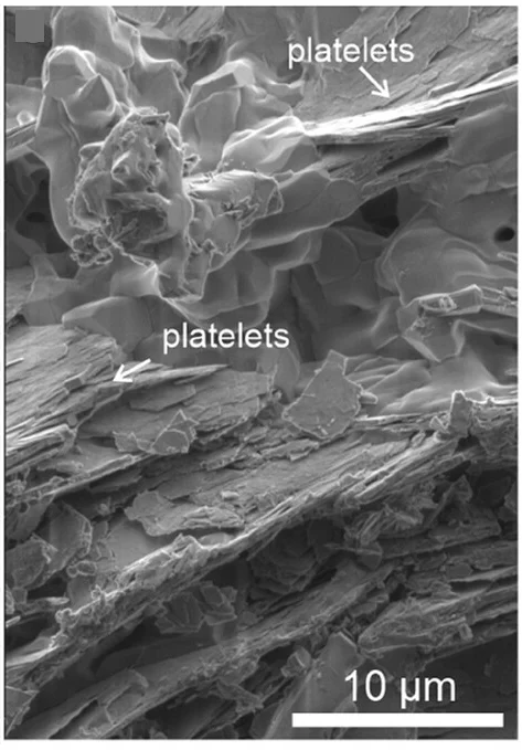Open access visualization of Microscopy, SEM, Platelets, Catalyst, Ammonia Synthesis