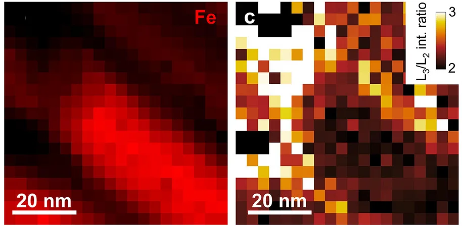 Open access visualization of Heatmap, Elemental Maps, Fe L2,3-edges