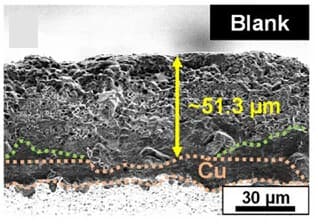 Open access visualization of Microscopy, SEM Images, Li Metal Anodes