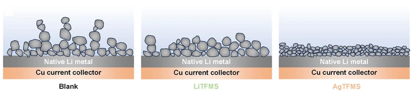 Open access visualization of Illustration, SEM Images, Li Metal Anode, XPS Spectra, AgTFMS