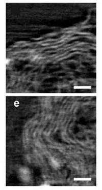 Open access visualization of Microscopy, Tomograms, Carbon Plane Arrangement, Sub-nm Pores, Shells