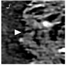 Open access visualization of Microscopy, HR-TEM, Tomograms, HSC Shells