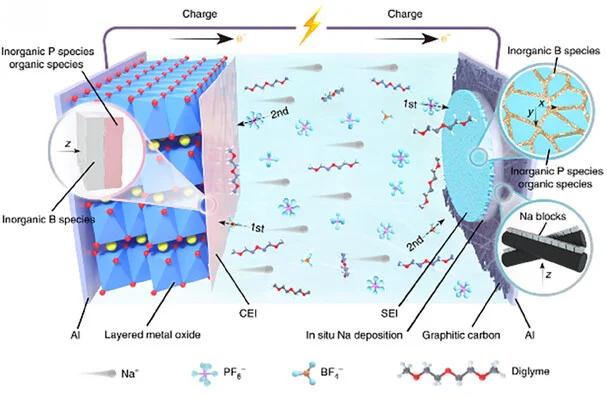 Open access visualization of Illustration, Workflow, AFNBs, Graphitic Carbon, CC