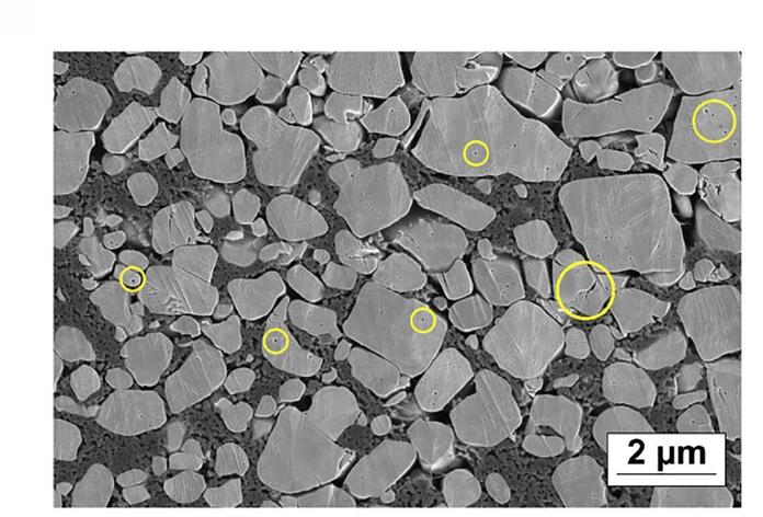 Open access visualization of Microscopy, SEM Images, Cathodes, SC-LNO, Microcracks