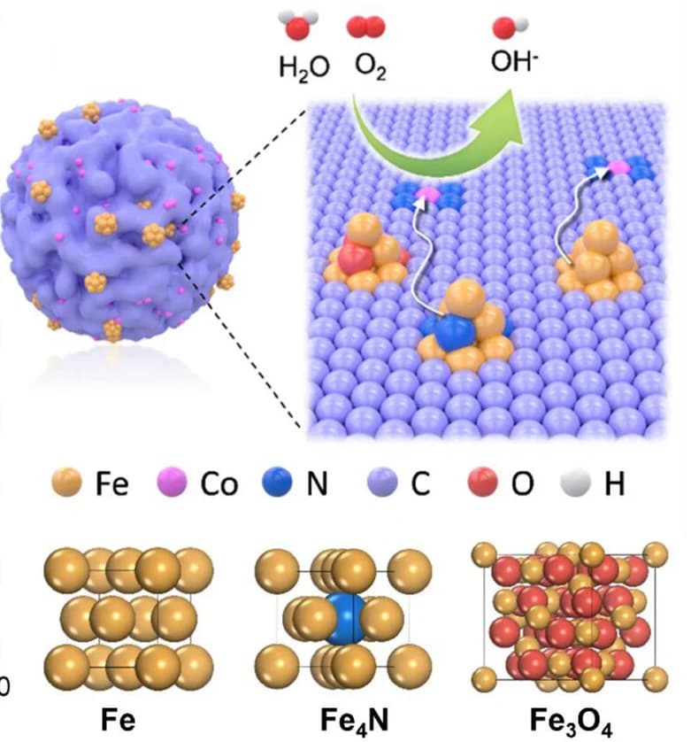 Open access visualization of Illustration, Chemical Structure, Schematic Diagram, Microstructures, Co50%Fe50%-NC