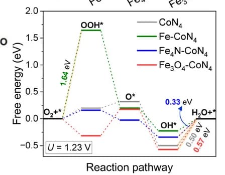 Open access visualization of Line Plot, Free-energy Diagram, ORR, CoN4, Fe-CoN4