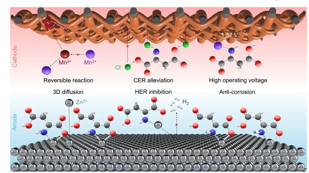 Open access visualization of Chemical Structure, Illustration, Asp, MF-ZMFB