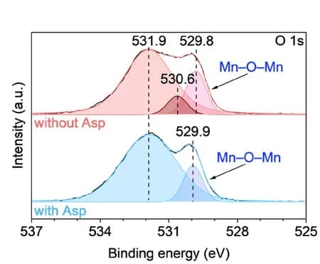 Open access visualization of Line Plot, Density Plot, XPS, Cathode Charge Products, Asp