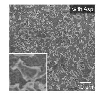 Open access visualization of Microscopy, SEM Images, Zinc Metal Anode, Electrolyte, Aspartic Acid