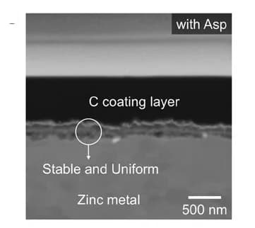Open access visualization of Microscopy, FIB-SEM Images, Cross-Section, Zinc Metal Anode, Electrolyte