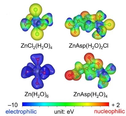 Open access visualization of Chemical Structure, ESP Mapping, Zinc Complex
