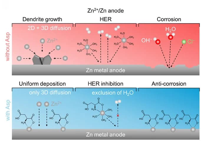 Open access visualization of Illustration, Workflow, Schematic Illustration, Mechanism of Asp, Anode