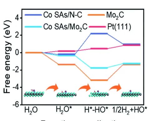 Open access visualization of Line Plot, Line Step, Free Energy Diagram, Alkaline HER, Co SAs/N-C