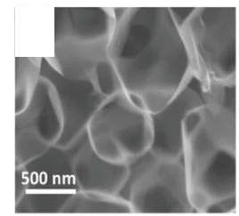 Open access visualization of Microscopy, SEM Images, Ni-O-G SACs