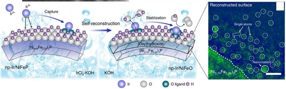 Open access visualization of Workflow, Microscopy, HAADF-STEM, np-Ir/NiFeO, Iridium Atoms