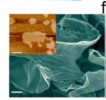 Open access visualization of Microscopy, SEM, AFM, Images