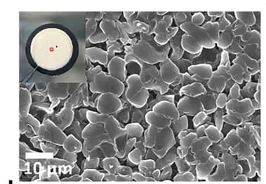 Open access visualization of Microscopy, Photo, SEM Images, Lithium Deposition, Copper Substrate