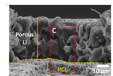 Open access visualization of Microscopy, SEM Images, Lithium Deposition, Copper Substrate, PCL-Cu