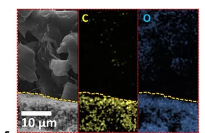 Open access visualization of Microscopy, EDX Maps, Carbon, Oxygen, PCL-Cu