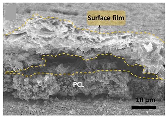 Open access visualization of Microscopy, Li Stripping, PCL-Cu||NMC811 Cells