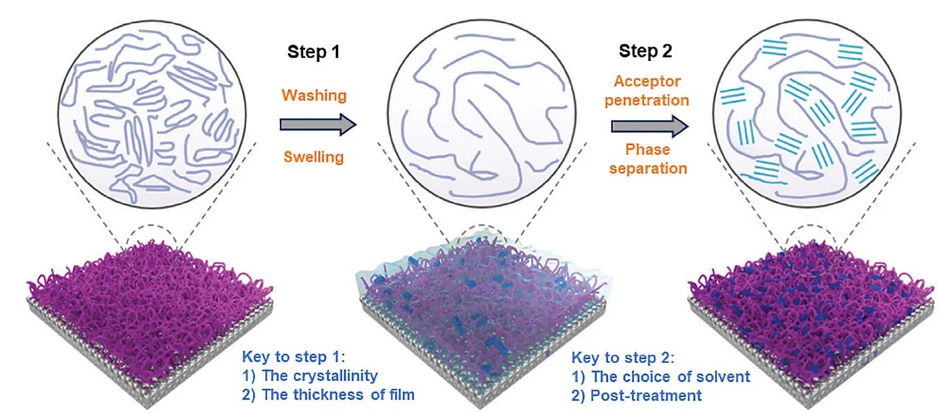 Open access visualization of Workflow, Illustration, Swelling-Penetration Process, Polymer Matrix, Acceptors