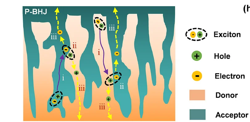 Open access visualization of Illustration, Workflow, P-BHJ, Active Layer, Carrier Process
