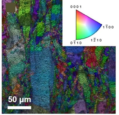 Open access visualization of Microscopy, Euler Images, HF0