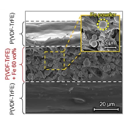 Open access visualization of Microscopy, MR Film, SEM, EDS