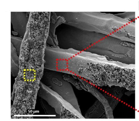 Open access visualization of Microscopy, SEM Images, Ni Anode, AST Cycles