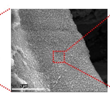 Open access visualization of Microscopy, Photo, SEM Images, Ni Anode, AST Cycles